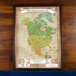 Mapa Podróży - Ameryka Północna